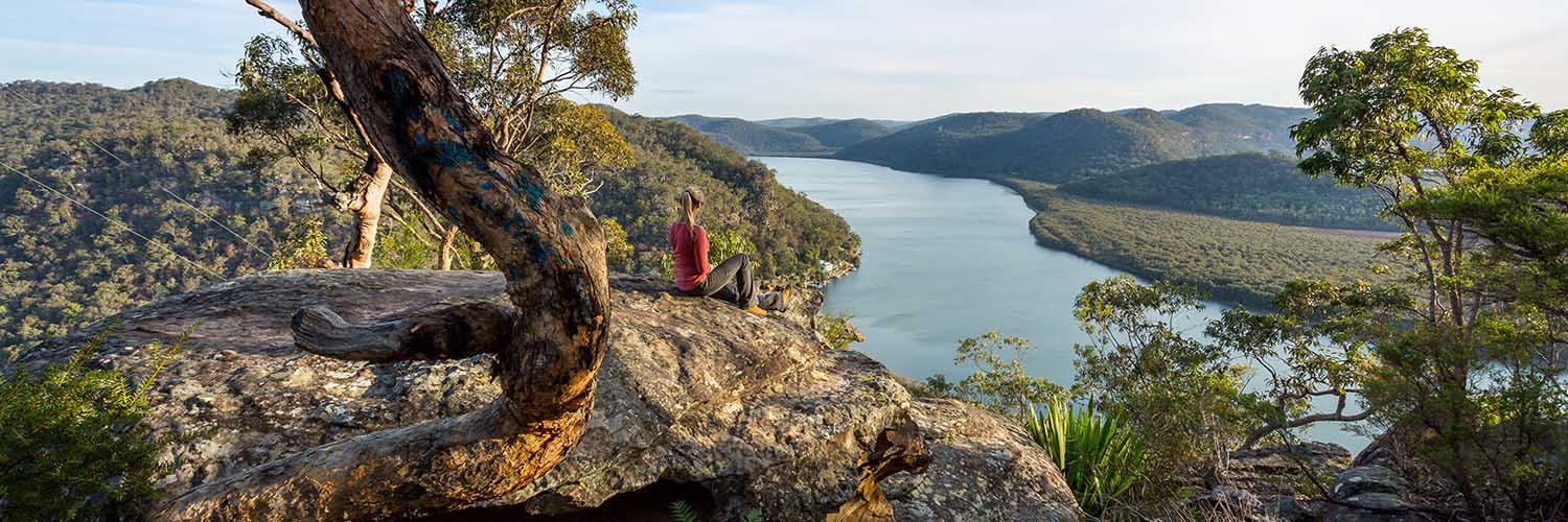 Allied Health in Hospitals